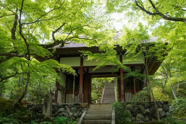 嵐山宿泊×寺巡りで景色を味わうモデルコース