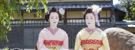 舞妓・芸者・コンパニオン