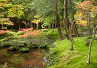 西芳寺（苔寺）/Saiho Temple