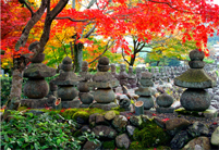 化野念仏寺/Adashino-Nenbutsuji Temple