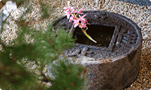 花筏　館内