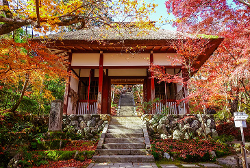 常寂光寺