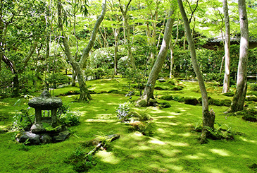 祇王寺