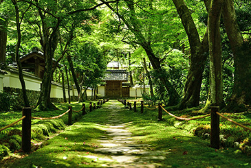西芳寺 (苔寺)